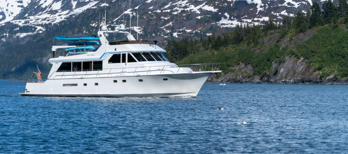 Alaska Luxury Cruise Ship in scenic Alaskan bay.