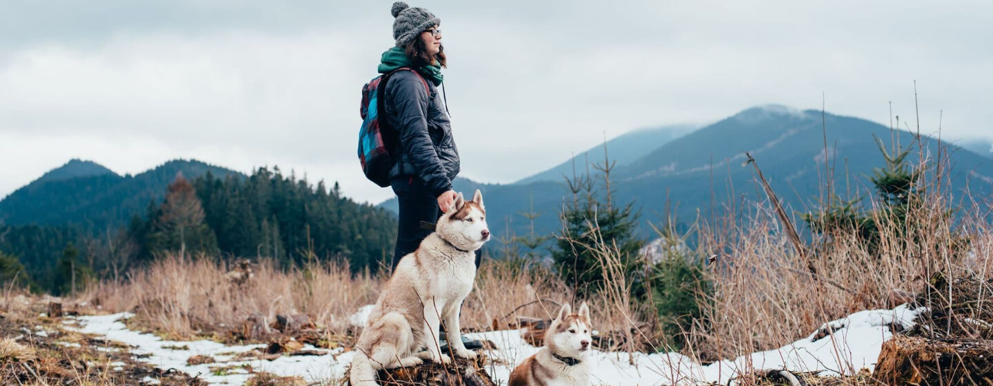 Woman hiking in Alaska with dogs.