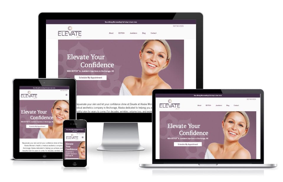 Elevate Aesthetics website